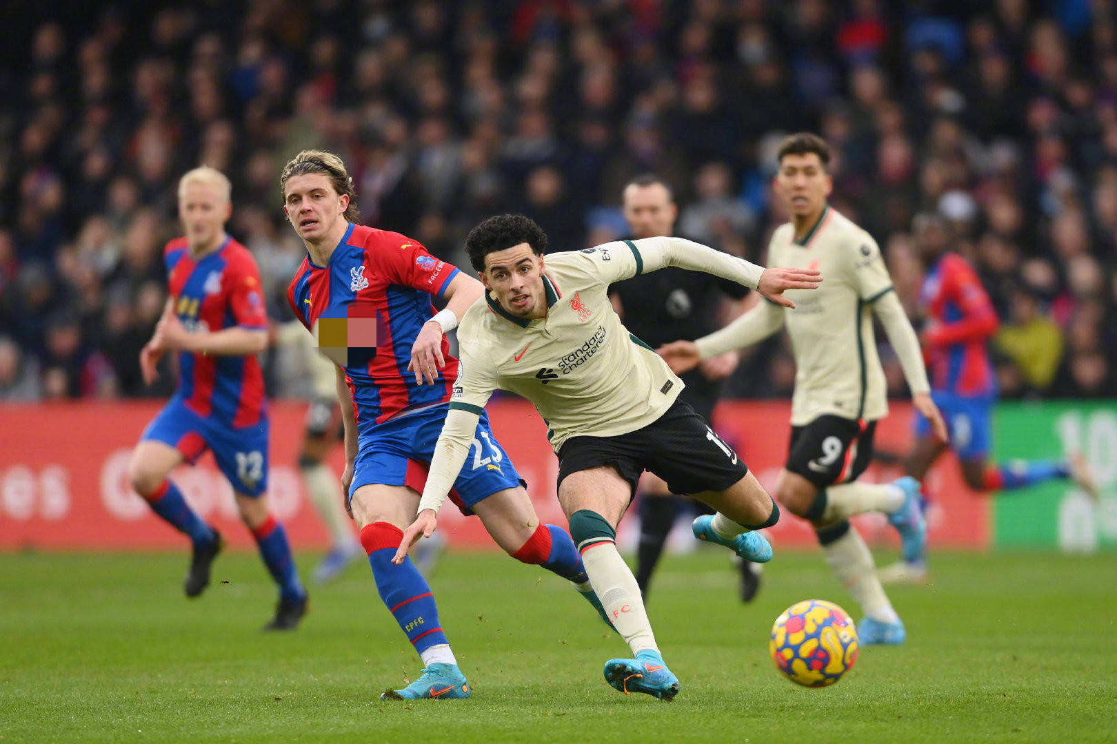 可能性逐渐 可能性逐渐